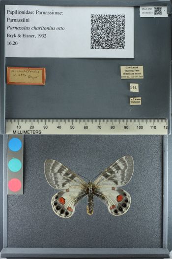 Media type: image;   Entomology 180473